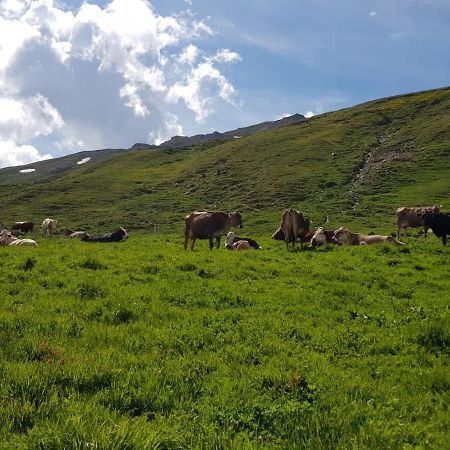 ヴァルフルヴァ Agriturismo Malga Dell'Alpeヴィラ エクステリア 写真