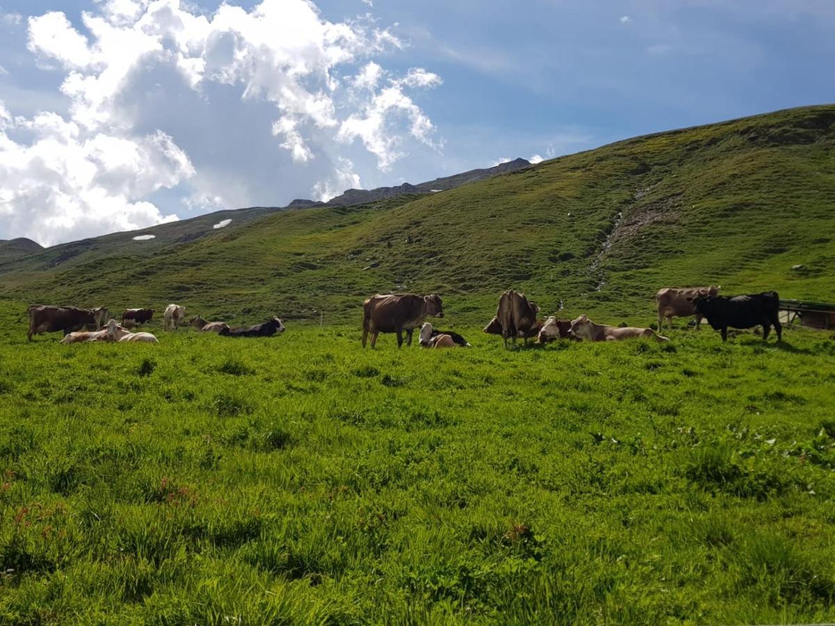 ヴァルフルヴァ Agriturismo Malga Dell'Alpeヴィラ エクステリア 写真